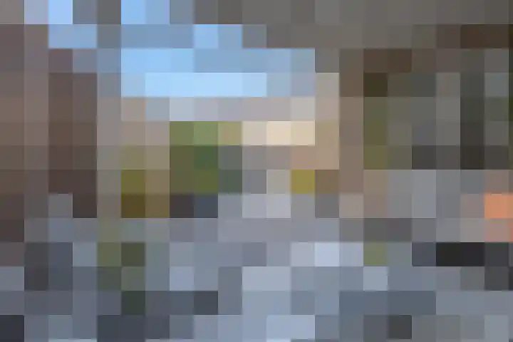 Narcis 3 Voorhout thumbnail 31