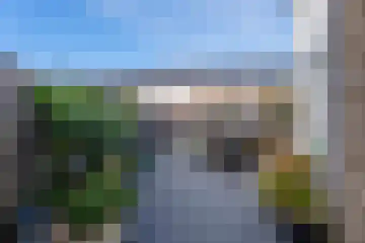 Narcis 3 Voorhout thumbnail 32