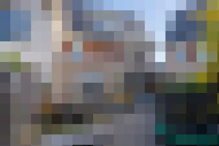 Narcis 3 Voorhout thumbnail 33
