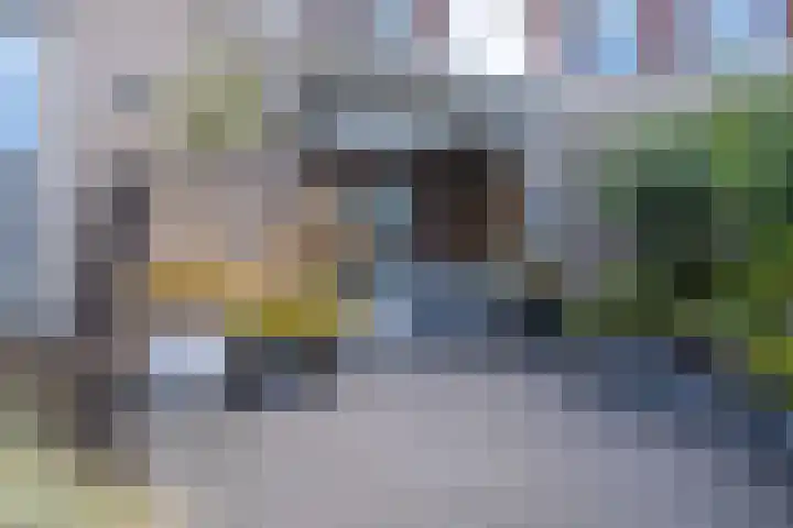Narcis 3 Voorhout thumbnail 34