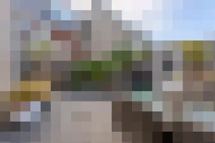 Narcis 3 Voorhout thumbnail 35
