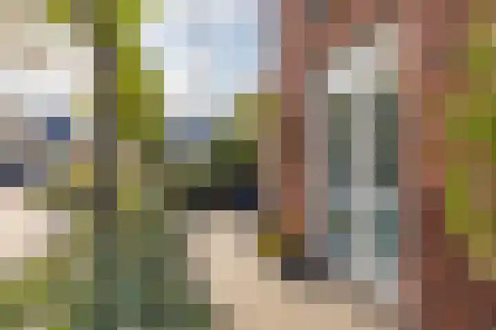 Narcis 3 Voorhout thumbnail 36