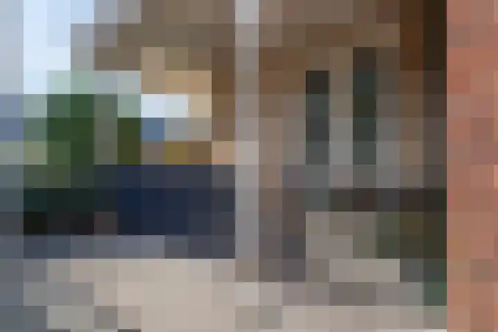 Narcis 3 Voorhout thumbnail 37