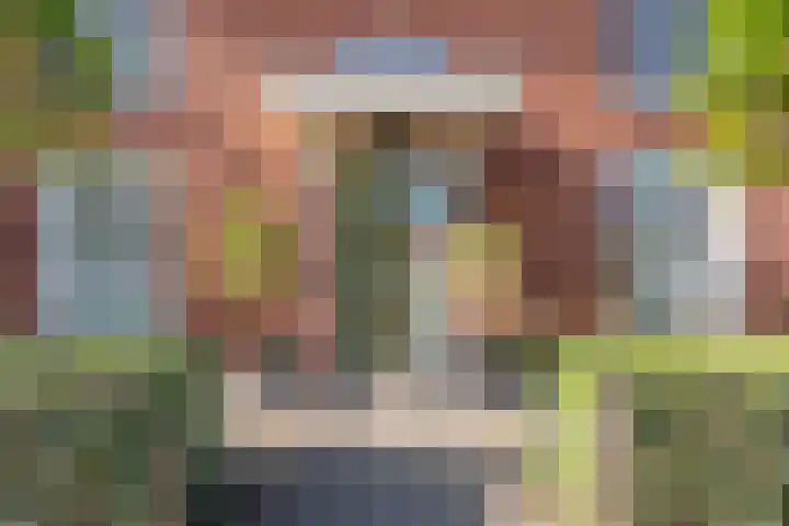 Narcis 3 Voorhout thumbnail 39
