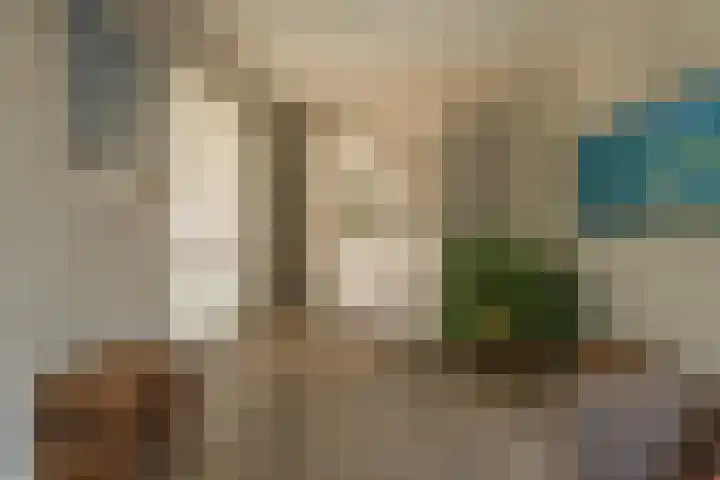 Narcis 3 Voorhout thumbnail 4