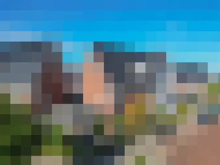 Narcis 3 Voorhout thumbnail 41