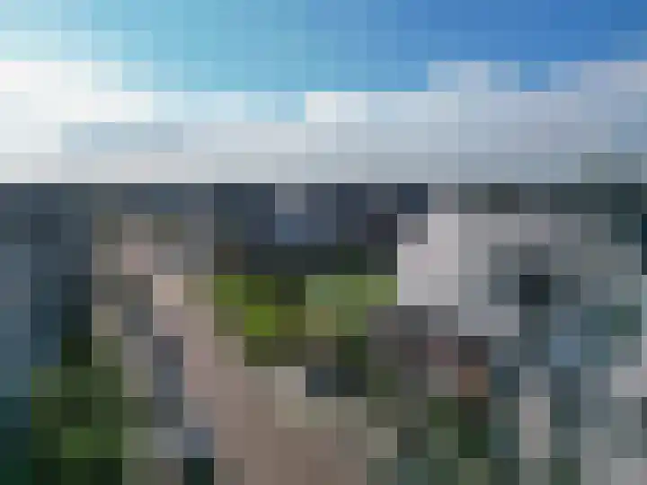 Narcis 3 Voorhout thumbnail 44
