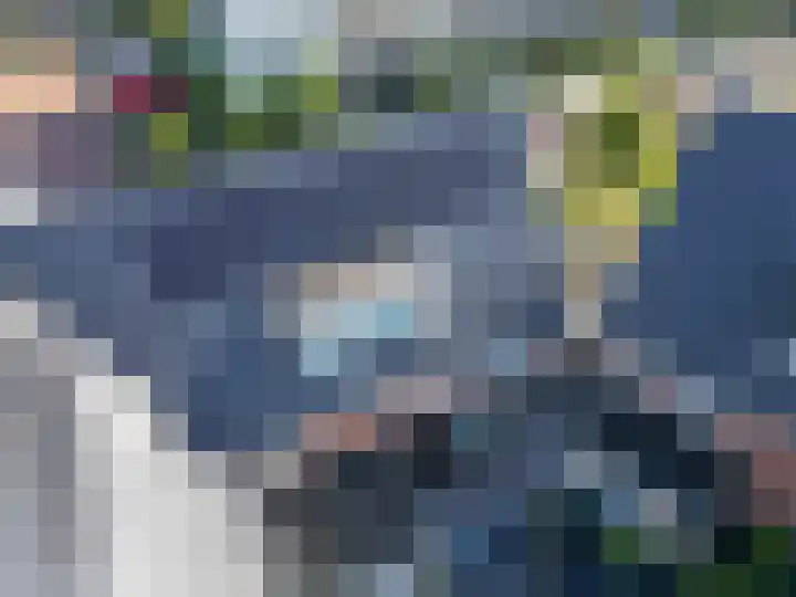 Narcis 3 Voorhout thumbnail 46