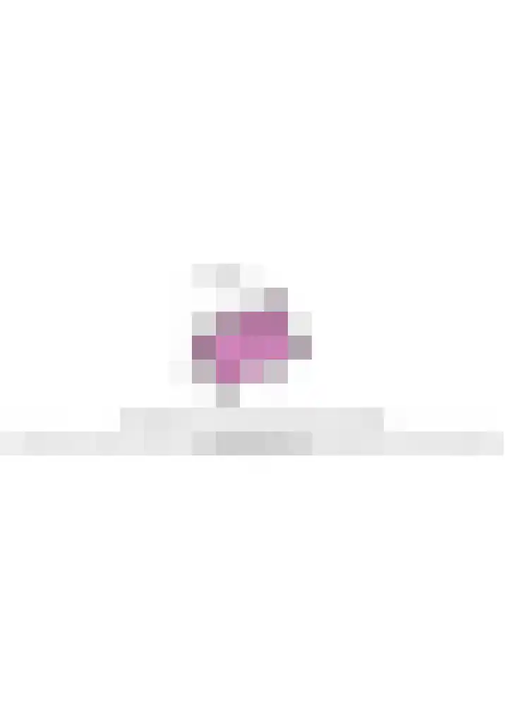 Narcis 3 Voorhout thumbnail 51