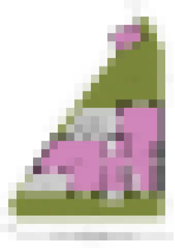 Narcis 3 Voorhout thumbnail 52