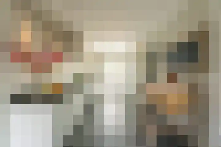 Narcis 3 Voorhout thumbnail 7