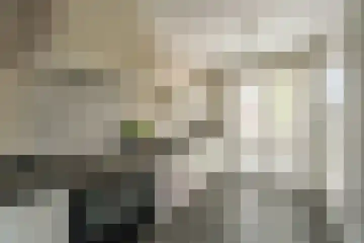 Narcis 3 Voorhout thumbnail 8