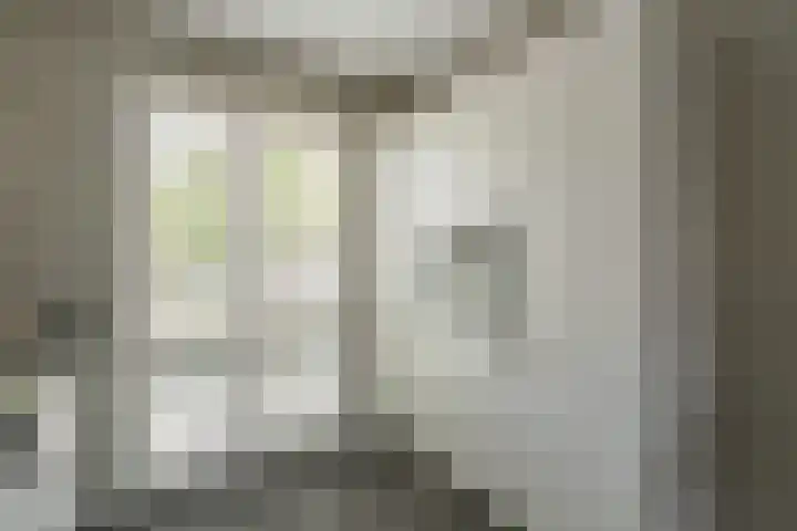 Narcis 3 Voorhout thumbnail 9