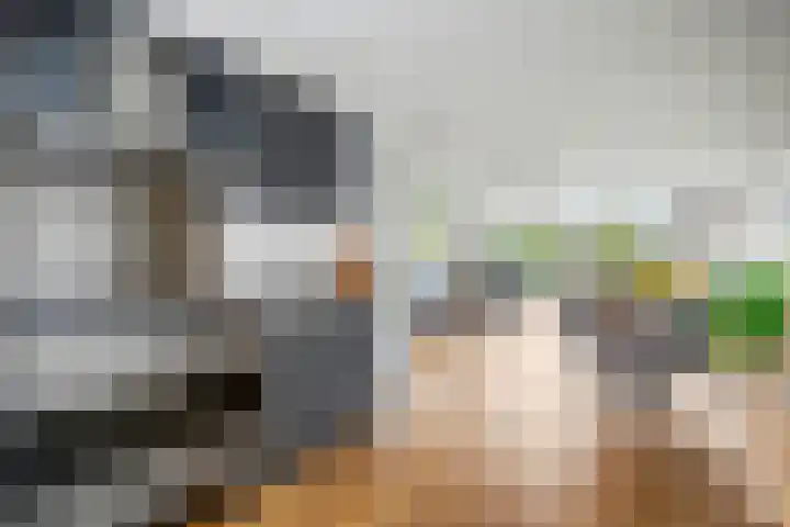 Narcis 35 Breukelen thumbnail 12