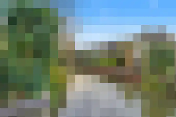 Narcis 35 Breukelen thumbnail 14