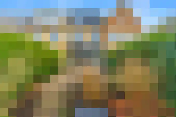 Narcis 35 Breukelen thumbnail 15
