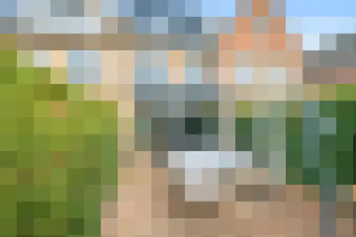 Narcis 35 Breukelen thumbnail 16