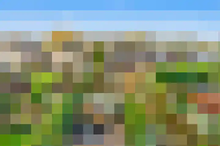 Narcis 35 Breukelen thumbnail 34