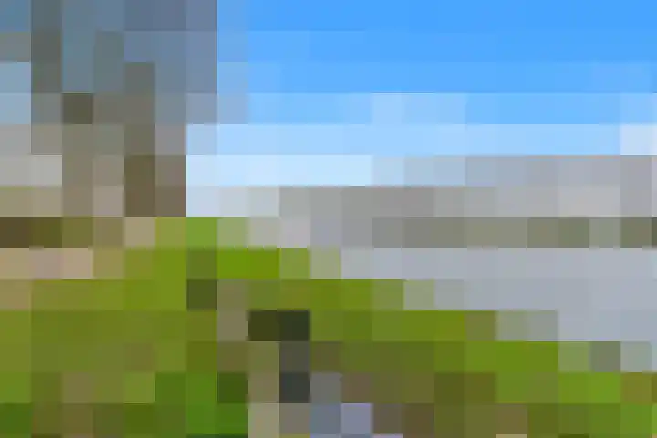 Narcis 35 Breukelen thumbnail 37