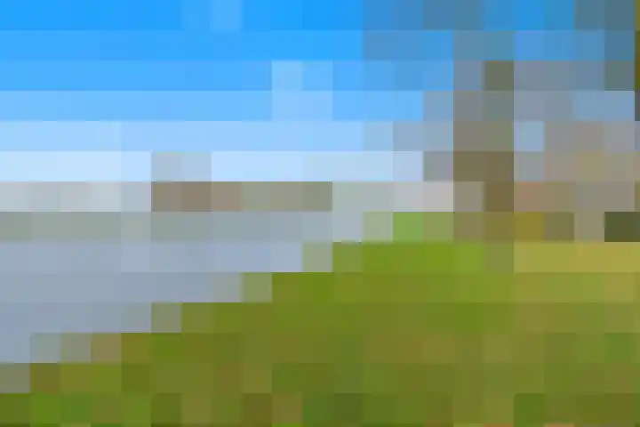 Narcis 35 Breukelen thumbnail 38
