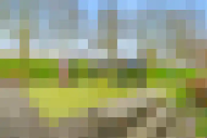 Narcis 35 Breukelen thumbnail 39