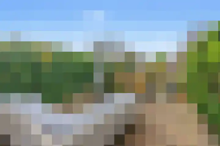 Narcis 35 Breukelen thumbnail 4