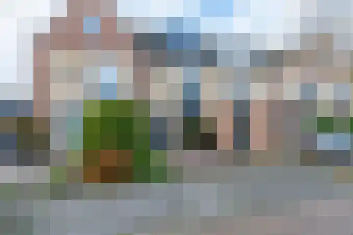 Narcis 35 Breukelen thumbnail 40