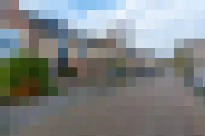 Narcis 35 Breukelen thumbnail 41