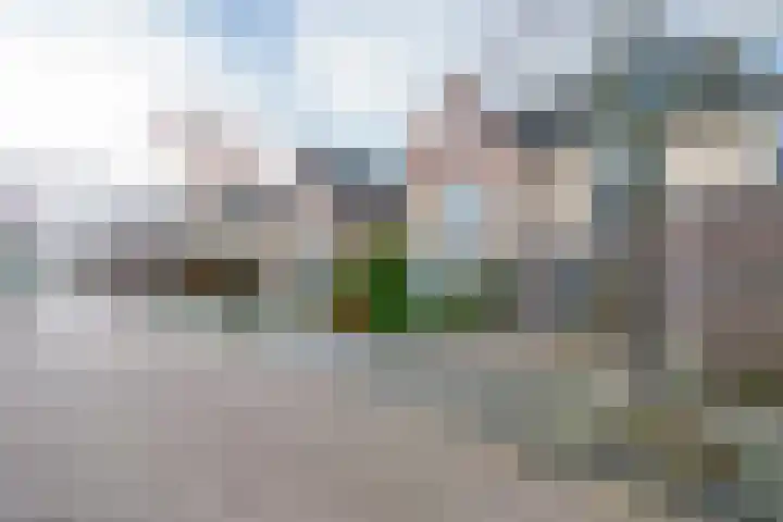 Narcis 35 Breukelen thumbnail 42