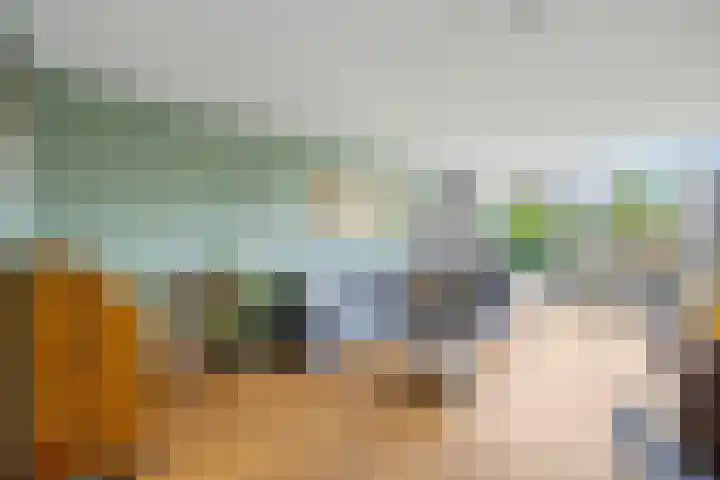 Narcis 35 Breukelen thumbnail 7
