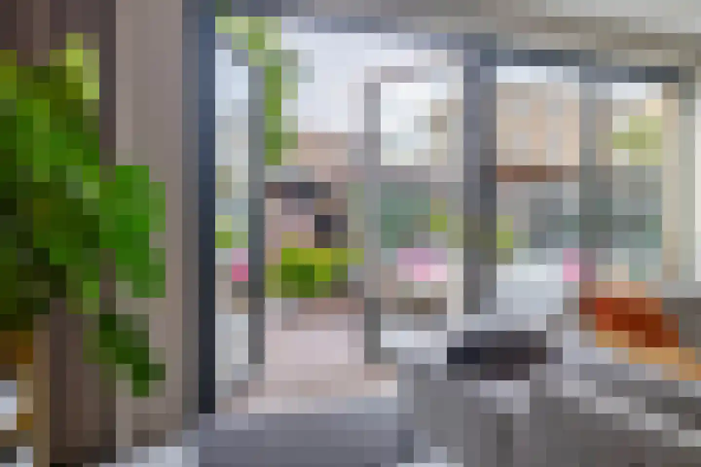 Narcis 4 Krimpen aan den IJssel thumbnail 10