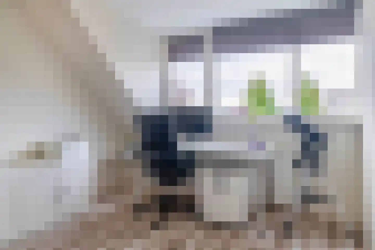 Narcis 4 Krimpen aan den IJssel thumbnail 26