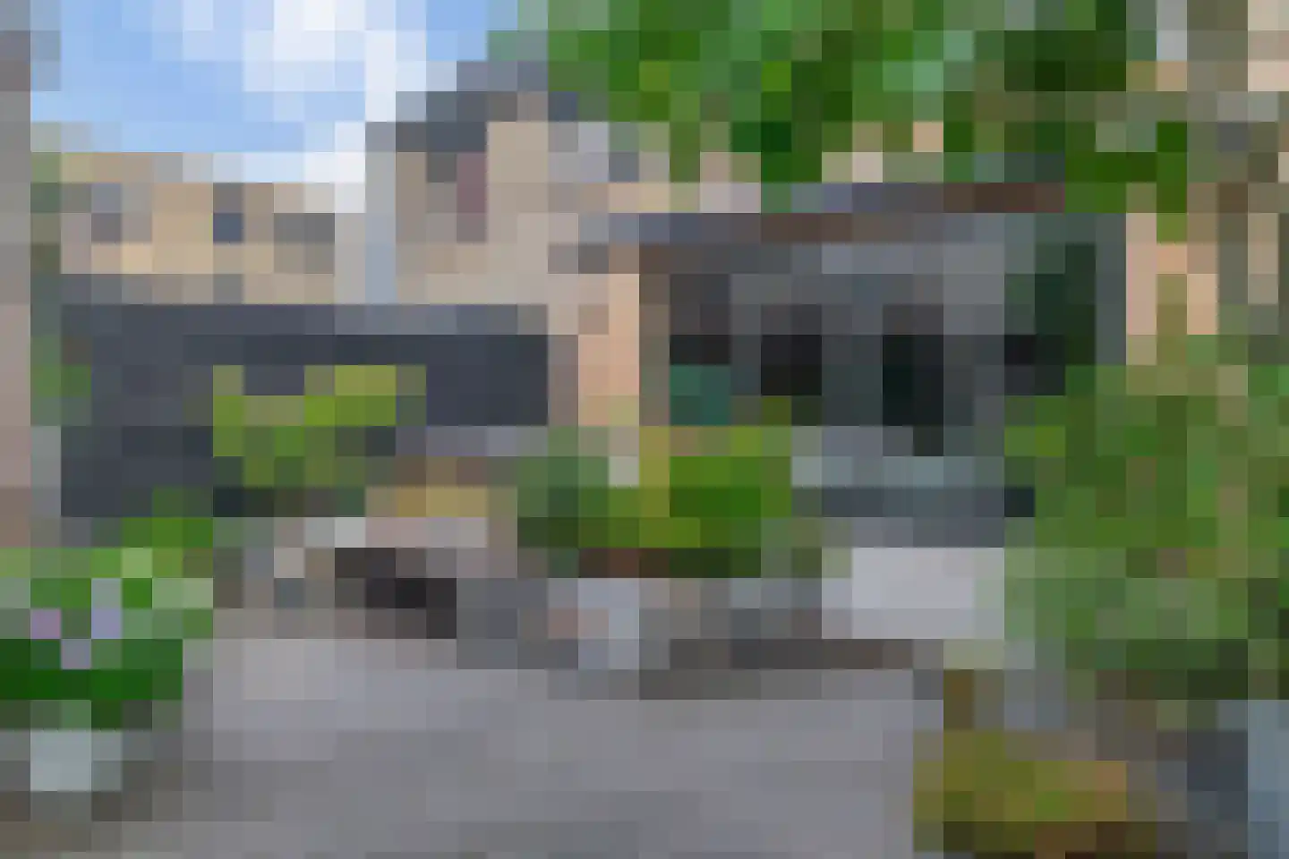 Narcis 4 Krimpen aan den IJssel thumbnail 31