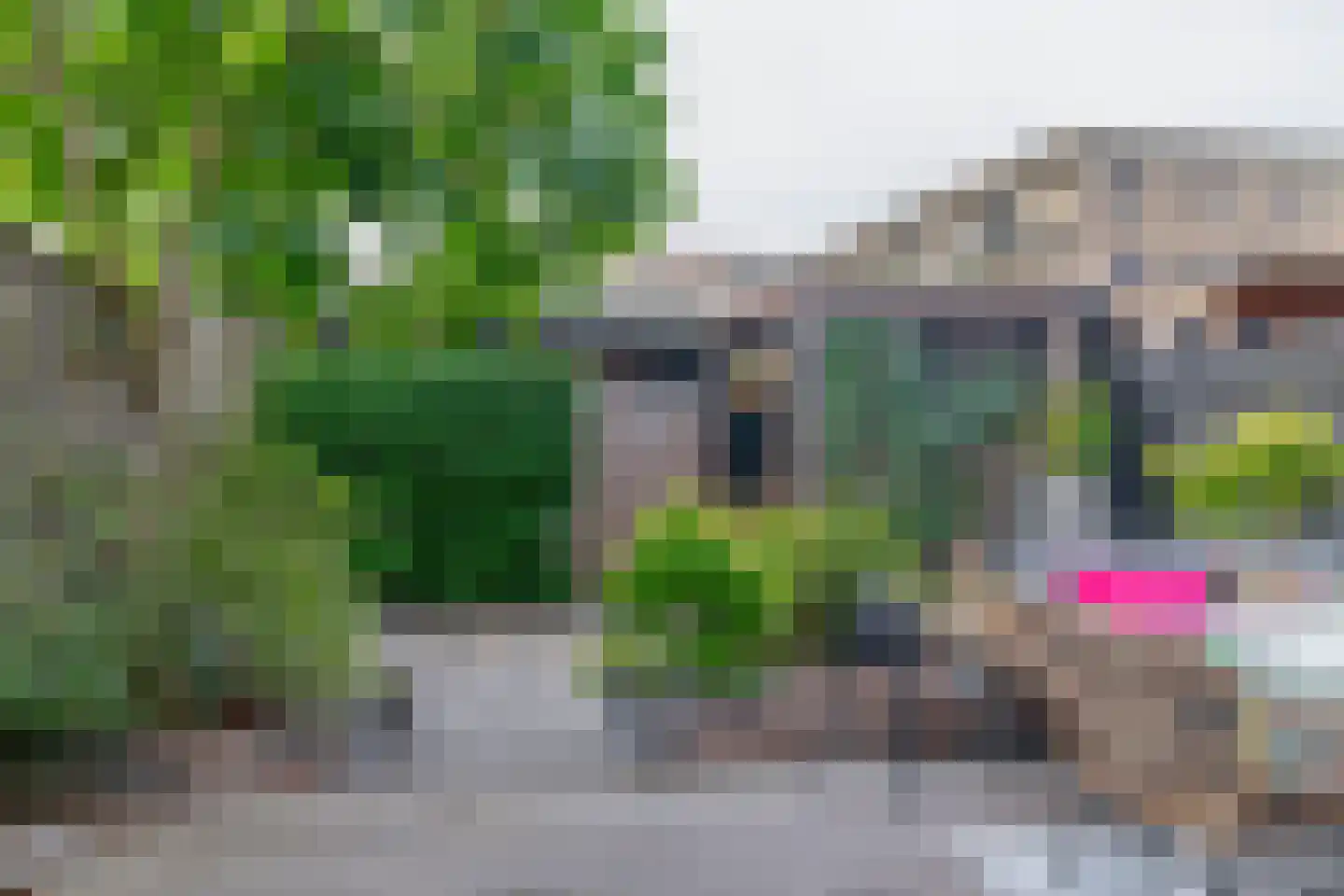 Narcis 4 Krimpen aan den IJssel thumbnail 34