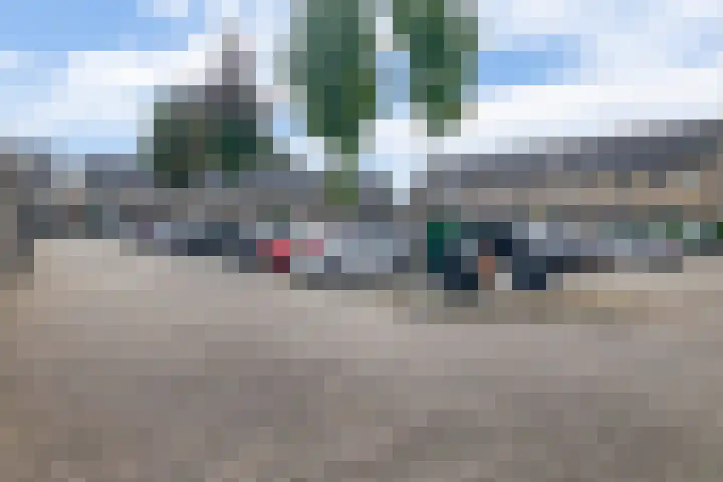 Narcis 4 Krimpen aan den IJssel thumbnail 40
