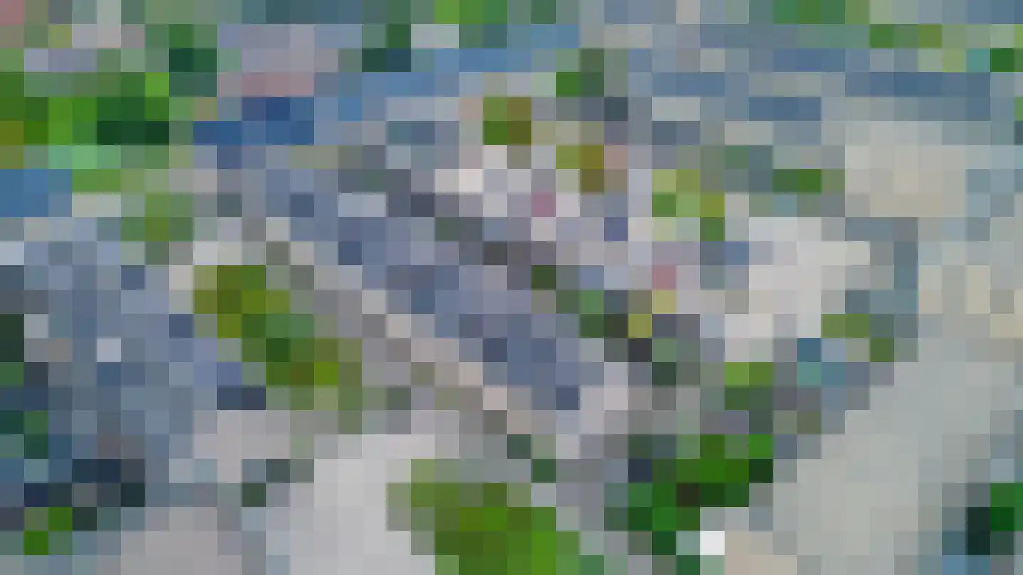 Narcis 4 Krimpen aan den IJssel thumbnail 42