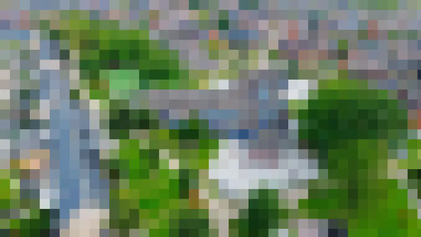 Narcis 4 Krimpen aan den IJssel thumbnail 46
