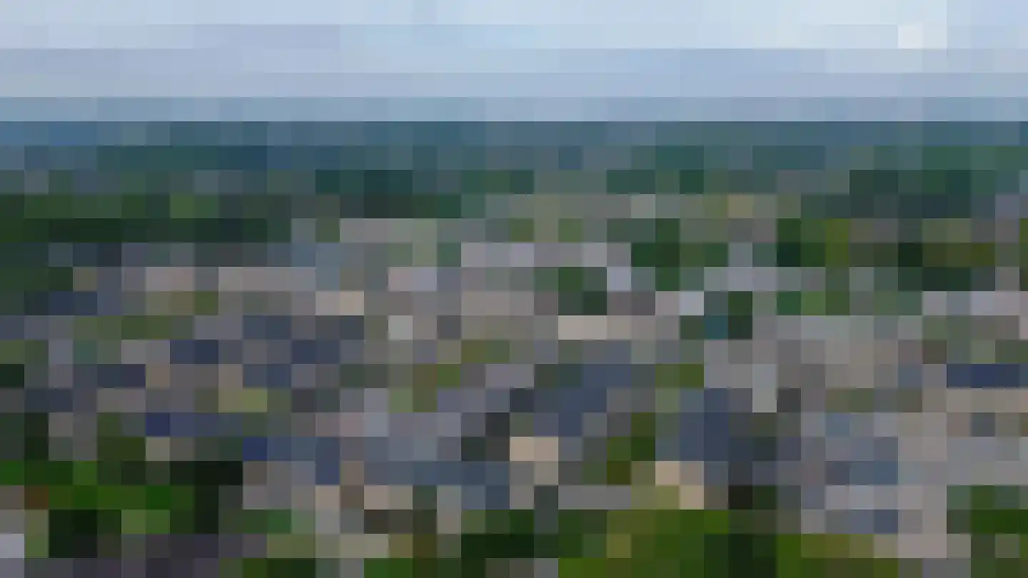 Narcis 4 Krimpen aan den IJssel thumbnail 47