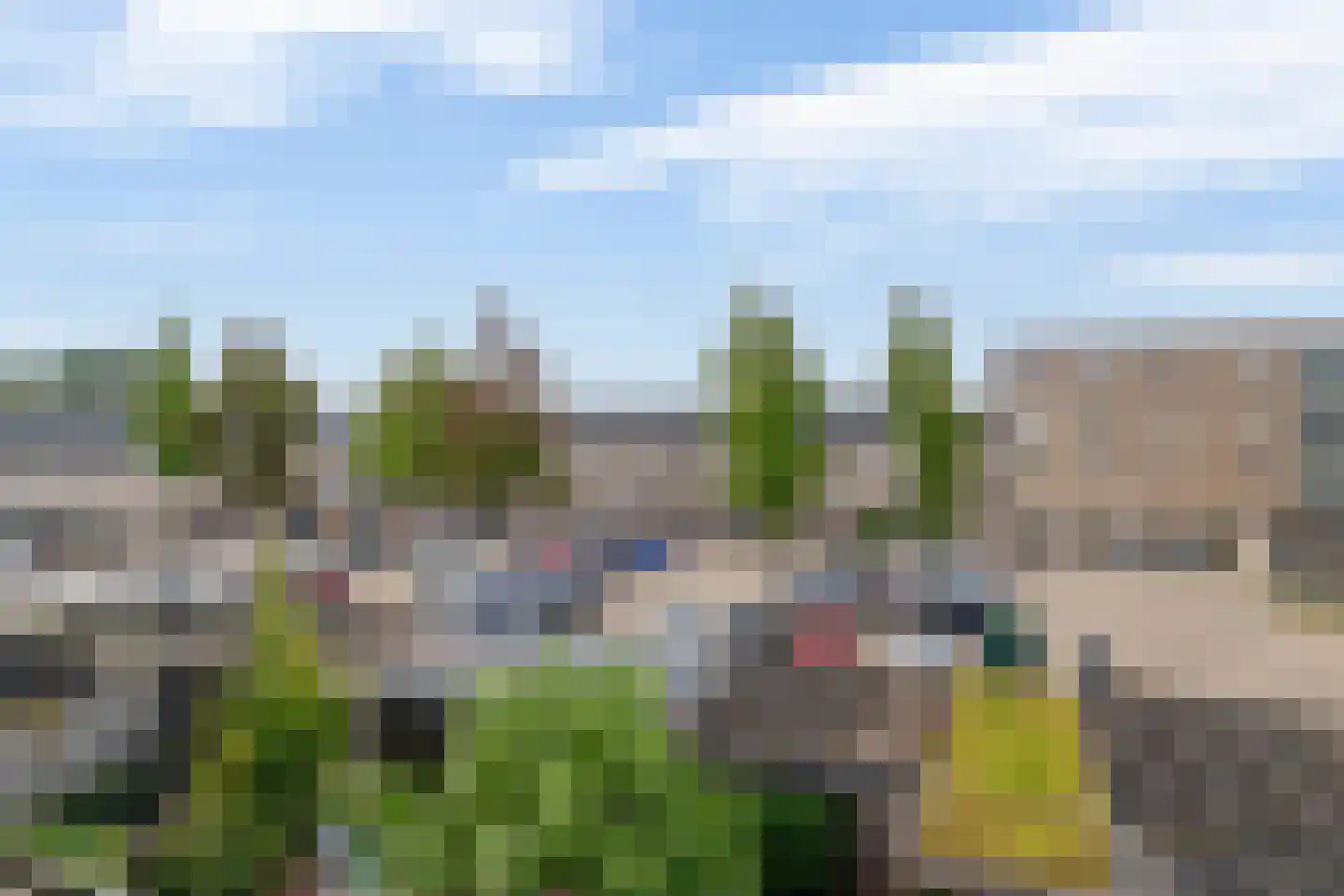 Narcis 4 Krimpen aan den IJssel thumbnail 54