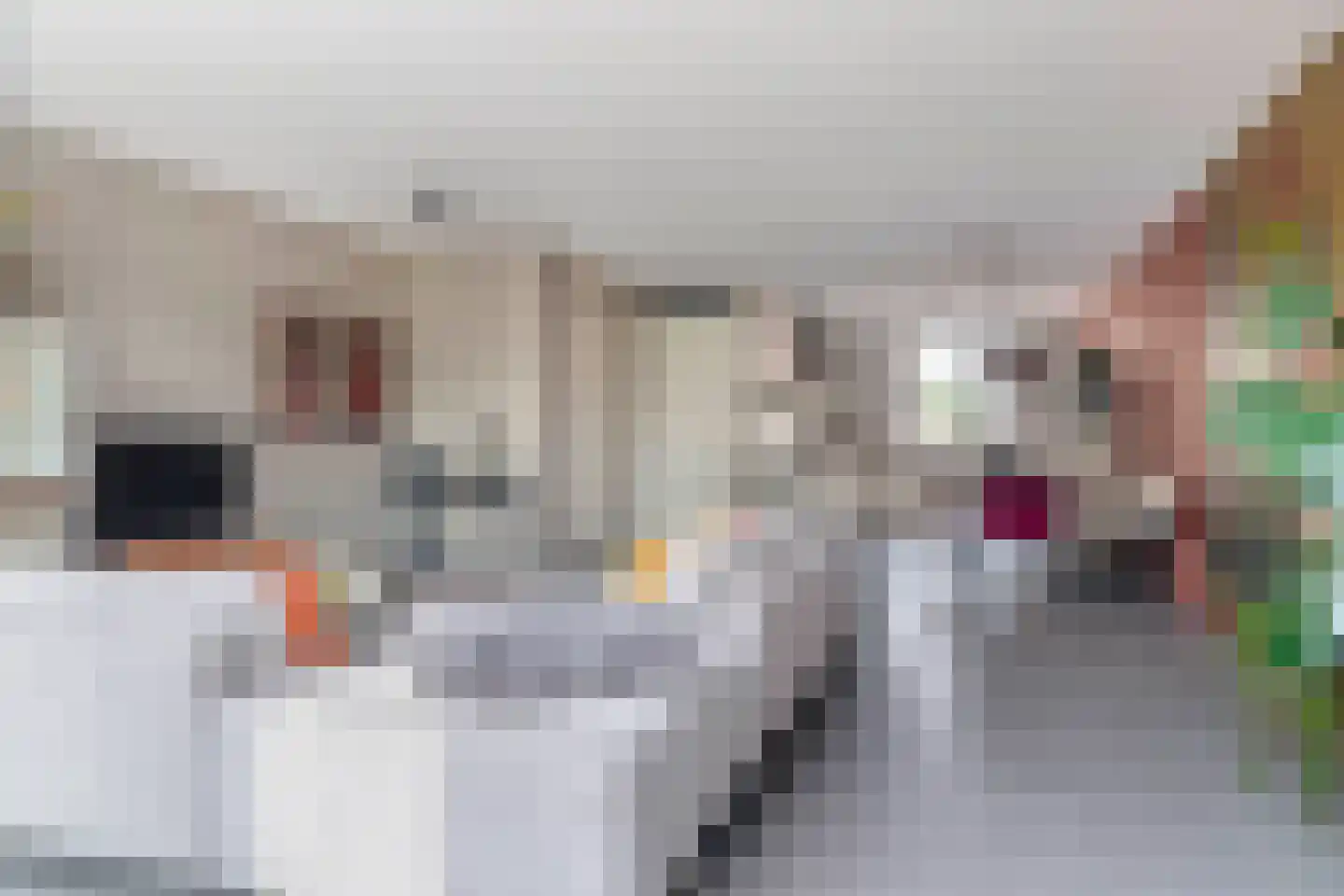 Narcis 4 Krimpen aan den IJssel thumbnail 9