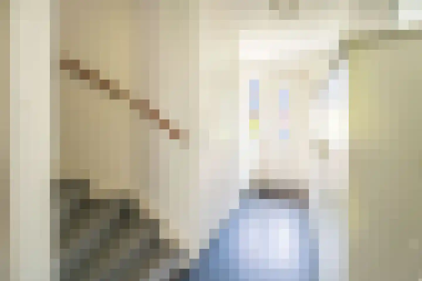 Narcis 52 Voorhout thumbnail 11