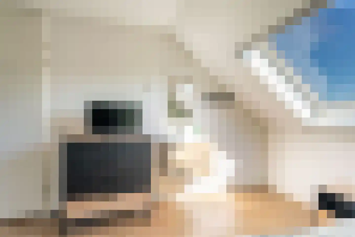 Narcis 52 Voorhout thumbnail 24