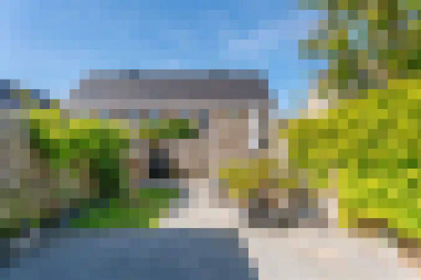 Narcis 52 Voorhout thumbnail 28