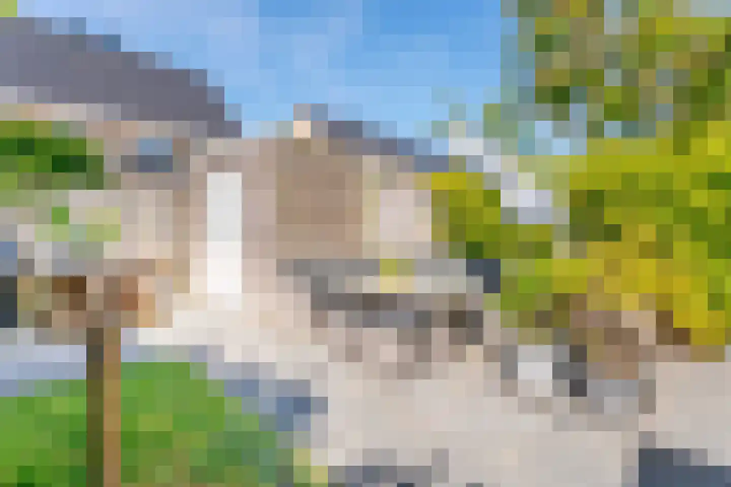 Narcis 52 Voorhout thumbnail 29