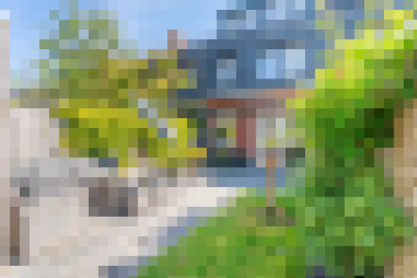 Narcis 52 Voorhout thumbnail 30