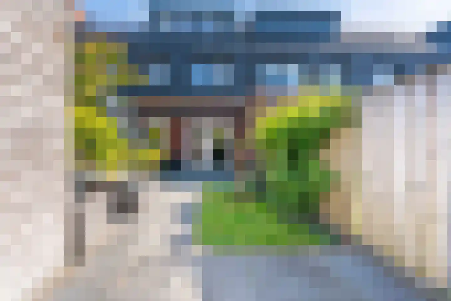 Narcis 52 Voorhout thumbnail 31