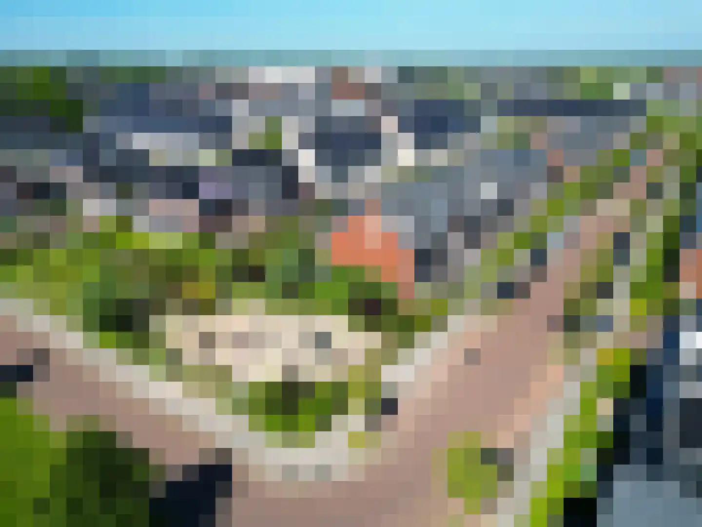 Narcis 52 Voorhout thumbnail 34