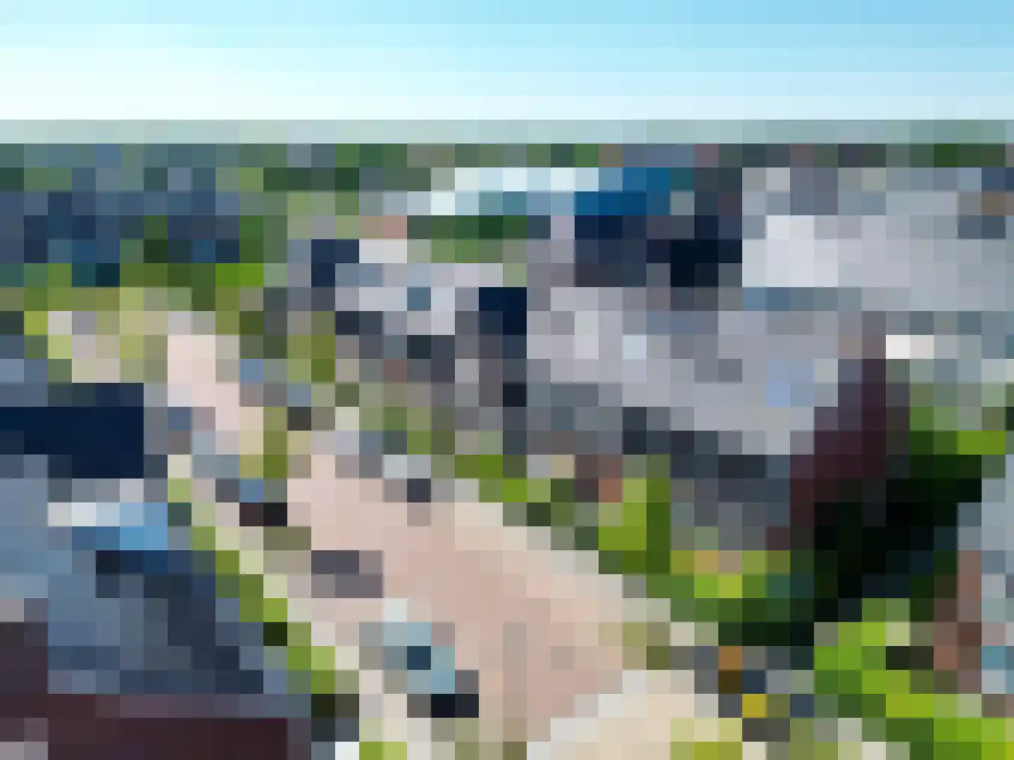 Narcis 52 Voorhout thumbnail 36