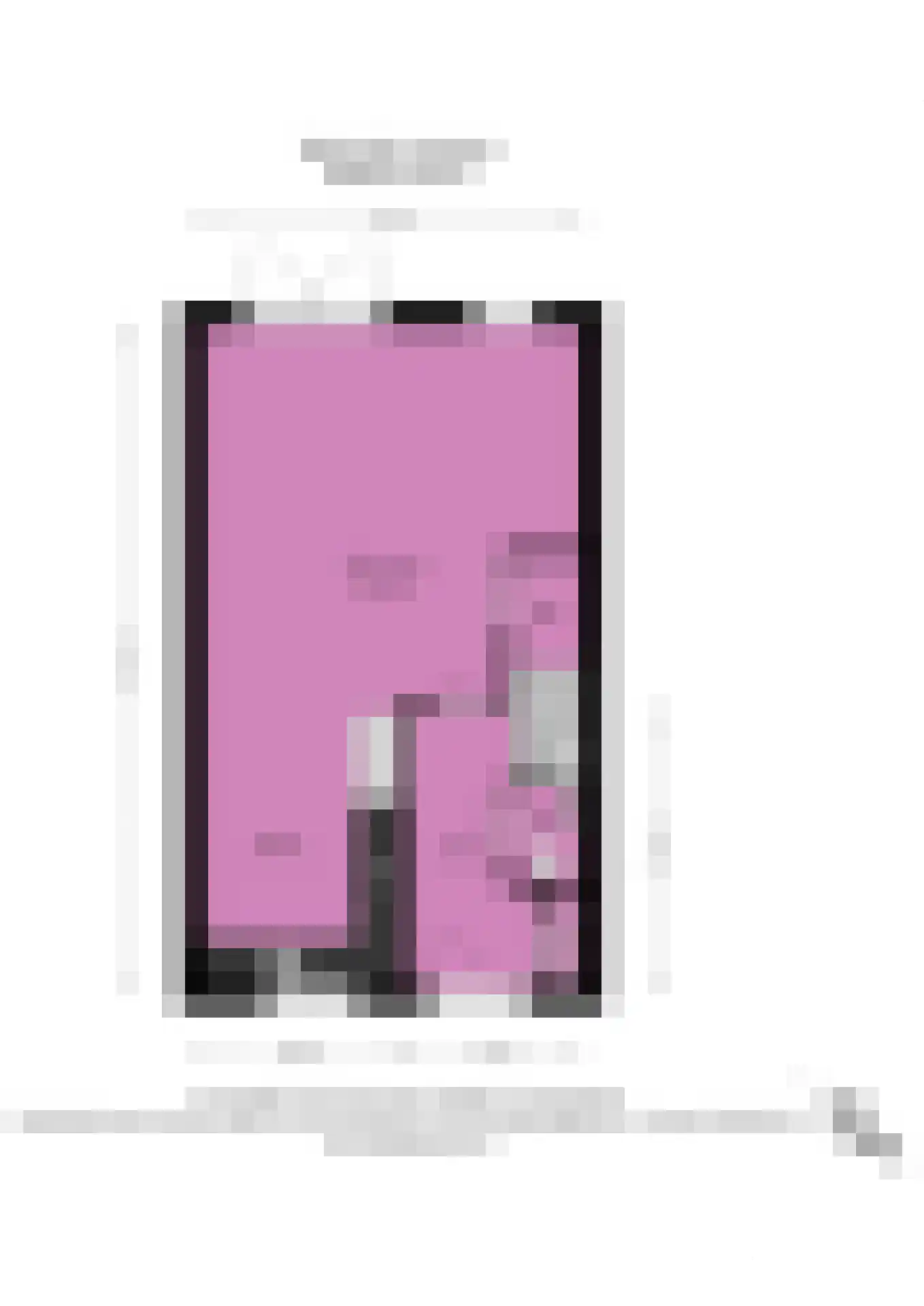 Narcis 52 Voorhout thumbnail 39