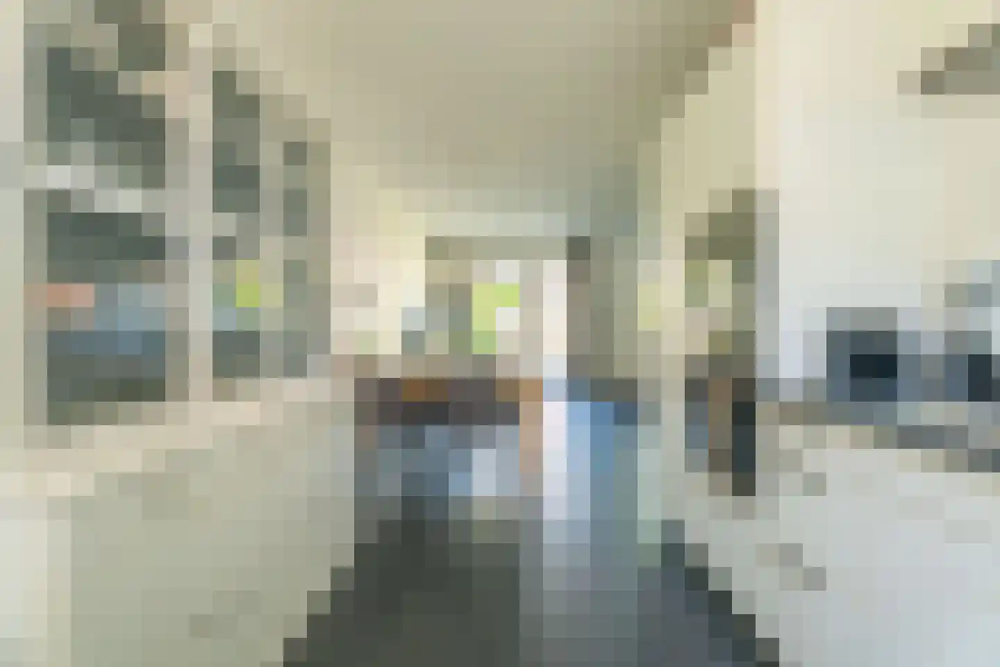 Narcis 52 Voorhout thumbnail 9